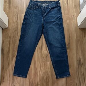 American Eagle Outfitters Dark Blue Ankle Jeans